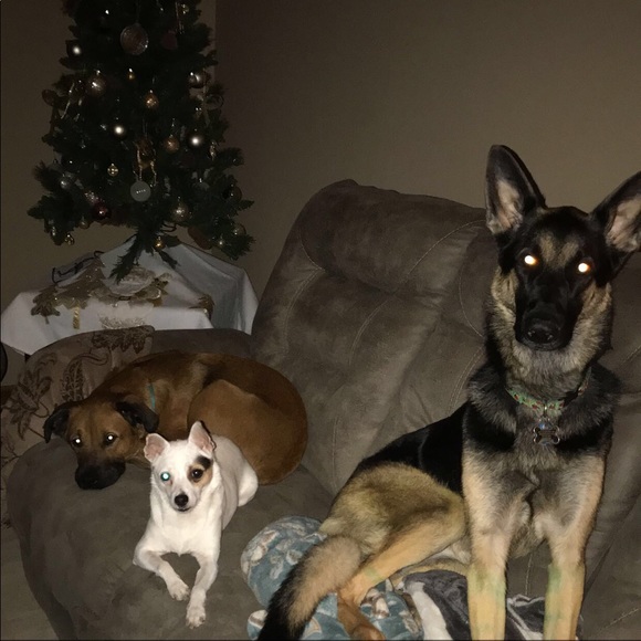 💋Meet your Posher, Destiny💋 Posh ambassador 💙 - Picture 6 of 8